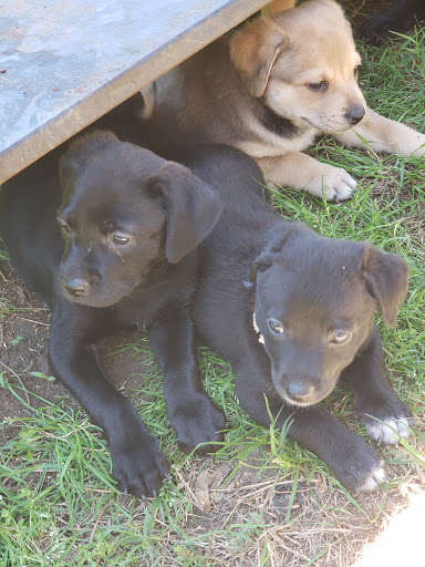 2250 Matlock Rd, Mansfield, TX 76063, USA