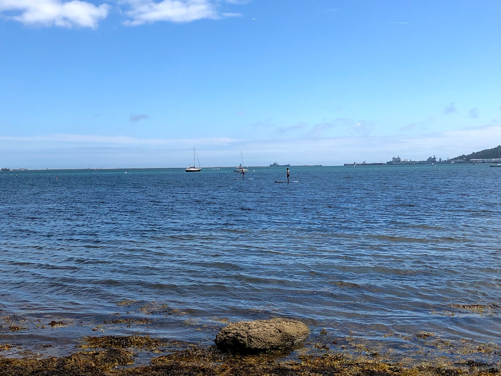 Photo of Castle Cove wild area