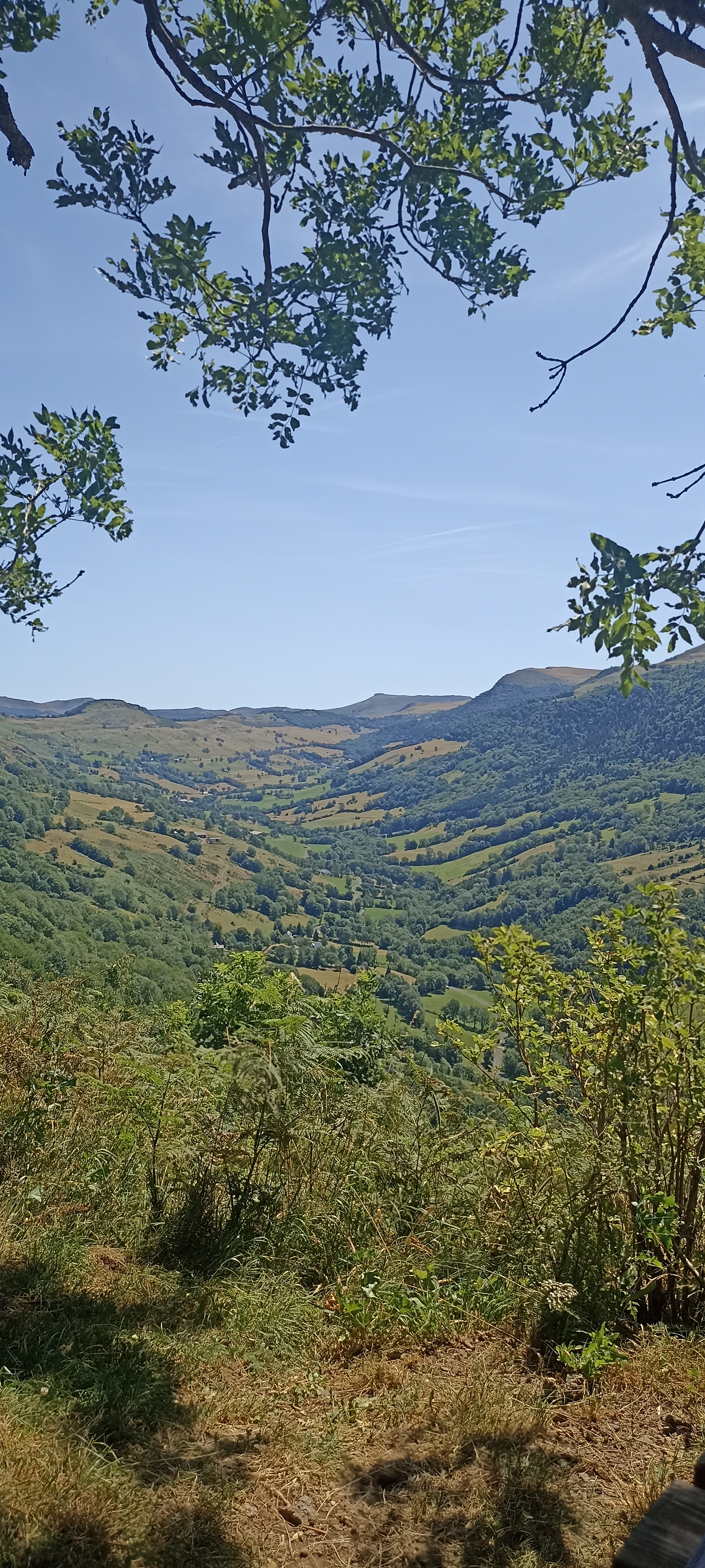Photo n° 5 de l'avis de Manon.b fait le 20/07/2022 à 17:28