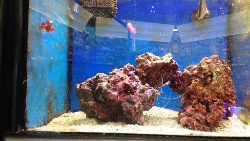 Pet Supply Store «Petco Animal Supplies», reviews and photos, 21851 Towne Center Dr, Watertown, NY 13601, USA