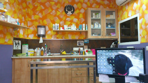 Centro Veterinario Eclipse Casinos en Casinos