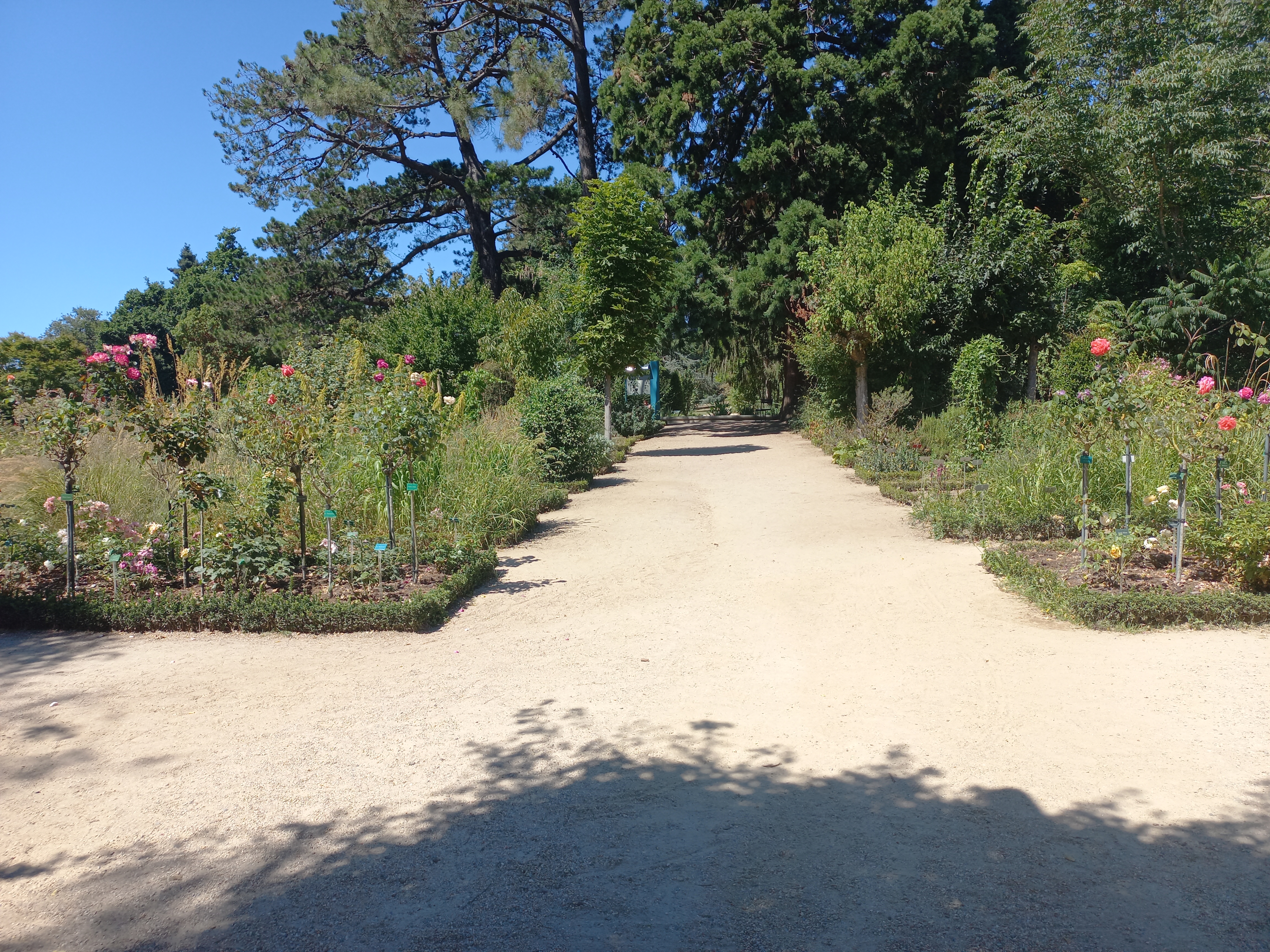 Photo n° 23 de l'avis de Photos.a fait le 24/07/2022 à 13:07
