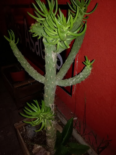 Los Arrayanes 777, 1711019 La Serena, Coquimbo