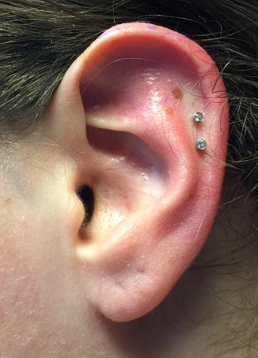 Find cool dog tattoo ideas for your next unique tattoo in Overland Park at Posh Body Piercing & Tattoo(Inside Bronzed n Beautiful)