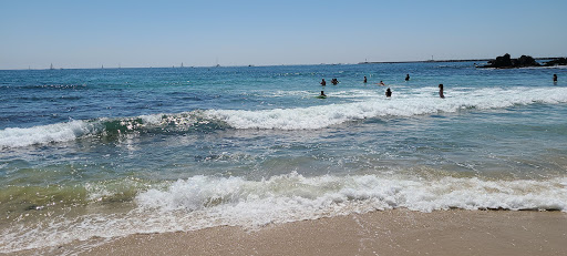 Tide Pools image