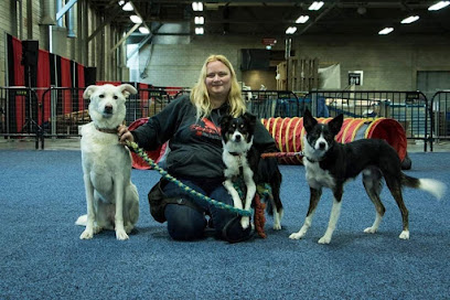 Hope for Hounds Dog Training and Behavior Improvements