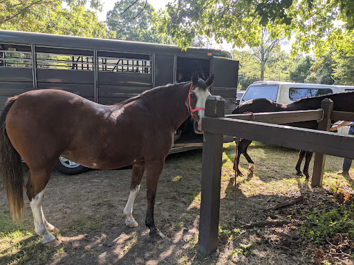 Museum «Amana Heritage Society», reviews and photos, 705 44th Ave, Amana, IA 52203, USA