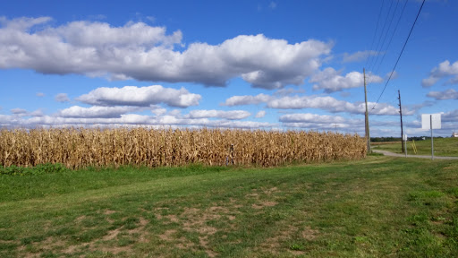 Tourist Attraction «Medora Covered Bridge», reviews and photos, IN-235, Vallonia, IN 47281, USA