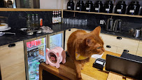 Atmosphère du Le GentleCat bar a chat restaurant salon de thé interdit moins de 12 ans à Lyon - n°3
