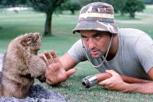 Golf Club «Virginian Golf Club», reviews and photos, 22512 Clubhouse Ridge, Bristol, VA 24202, USA