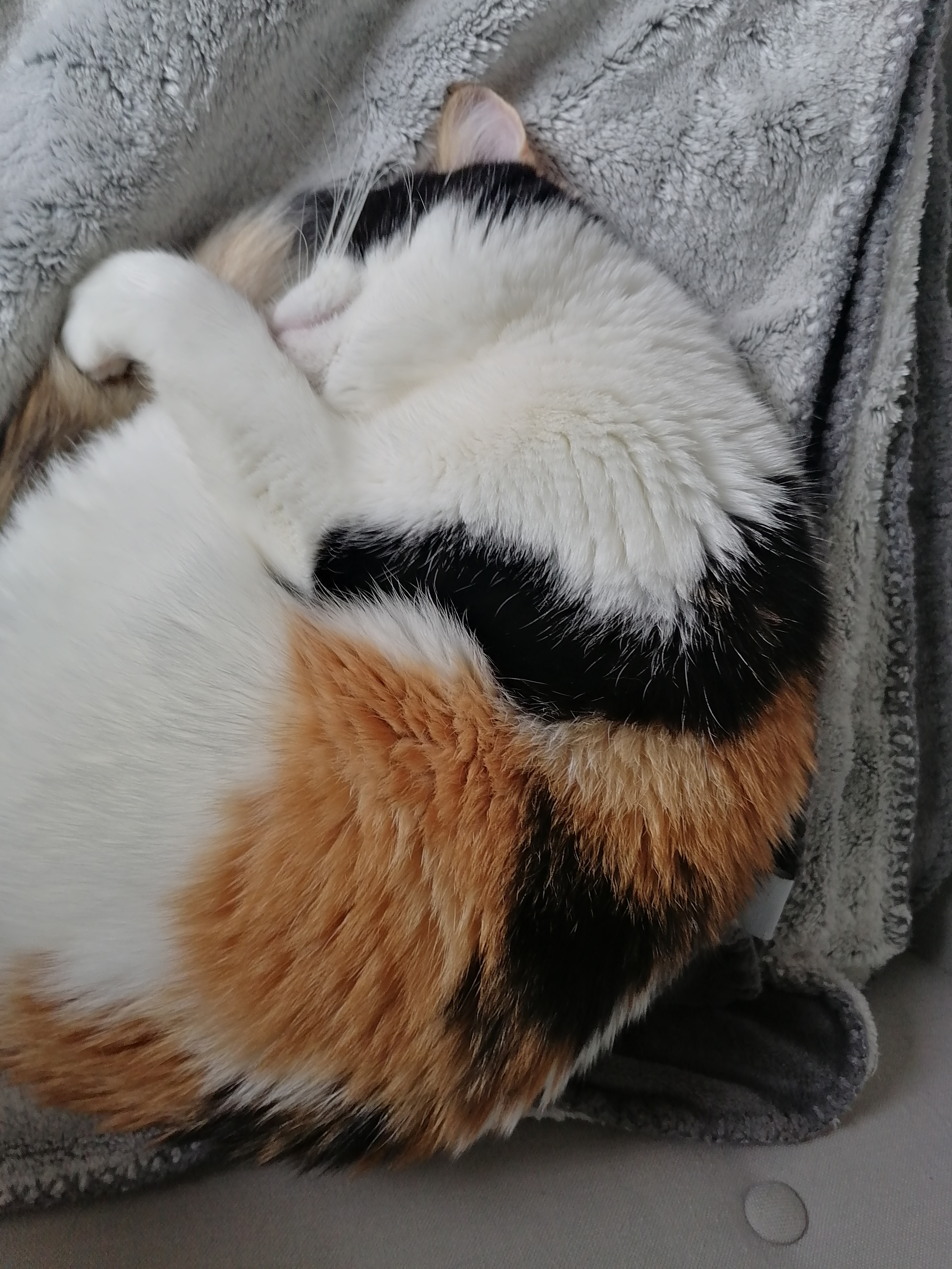 Photo n° 3 de l'avis de Gabriel.a fait le 24/10/2020 à 07:59