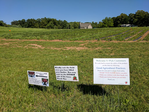 Farm «Warbington Farms (U-Pick Strawberries)», reviews and photos, 5555 Crow Rd, Cumming, GA 30041, USA