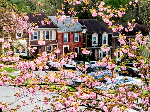 Park «Fairland Recreational Park», reviews and photos, 3928 Greencastle Rd, Burtonsville, MD 20866, USA