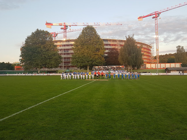 Rezensionen über Terrains de foot de Chavannes in Lausanne - Sportstätte