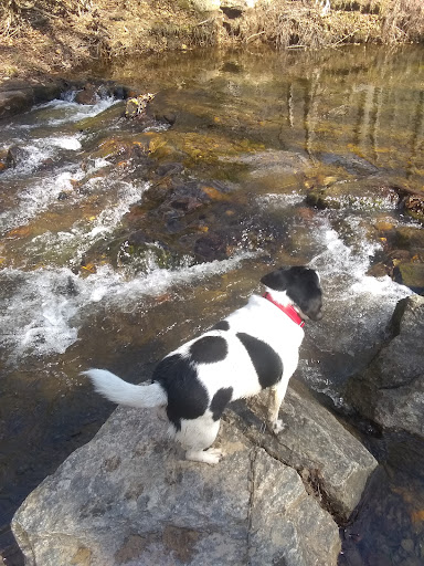 Pet Supply Store «Petco Animal Supplies», reviews and photos, 825 Brevard Rd, Asheville, NC 28806, USA