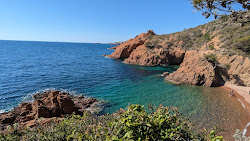 Foto di Calanque de Saint-Barthelemy con molto pulita livello di pulizia
