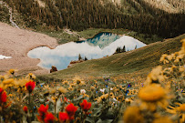 Roger Sieber Photography - Photo 3 - Car repair in , Hartford