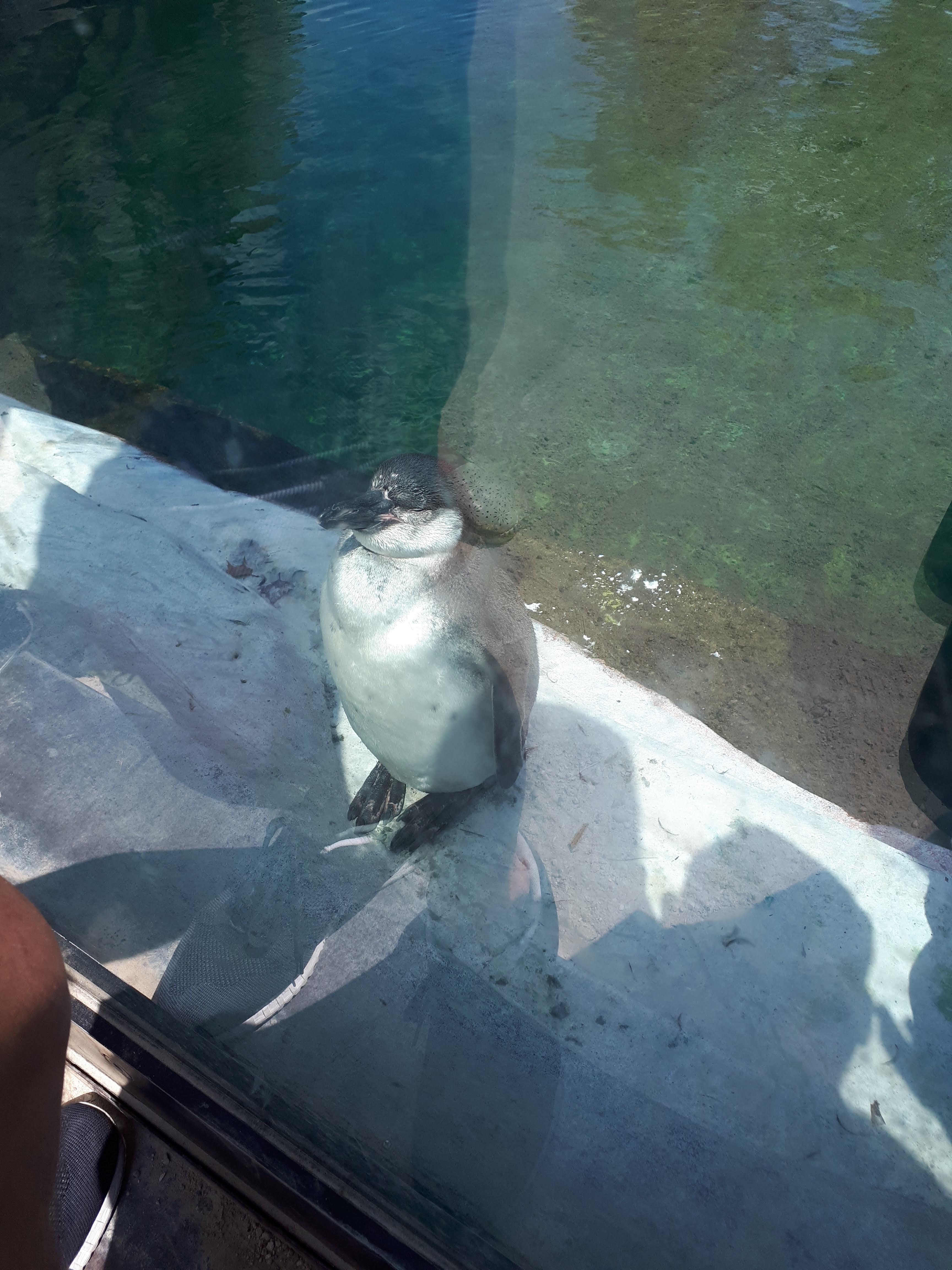 Photo n° 4 de l'avis de Saf.a fait le 18/09/2018 à 13:00