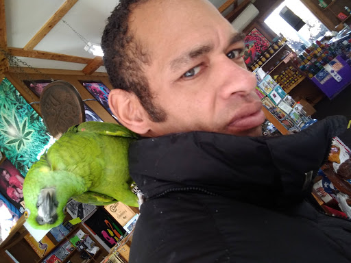 Boutique «Su Casa Boutique», reviews and photos, 1041 N Cedar St, Lansing, MI 48906, USA