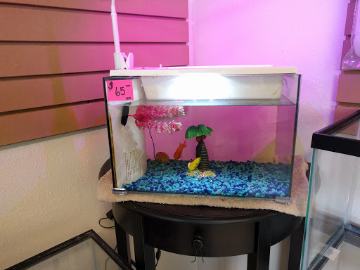 Tropical Fish Store «Aquaria Masters», reviews and photos, 411 Tia Juana St, Colorado Springs, CO 80909, USA