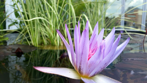 Modern Art Museum «Whitney Museum of American Art», reviews and photos, 99 Gansevoort St, New York, NY 10014, USA