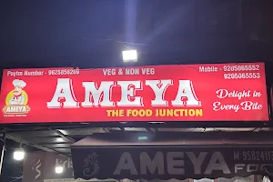 AMEYA THE FOOD JUNCTION “Delight In Every Bite” image