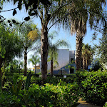 Photo n°12 de l'avis de Giovanni.a fait le 09/07/2022 à 13:20 sur le  Residence-Hotel Baia Marticana à Montecorice