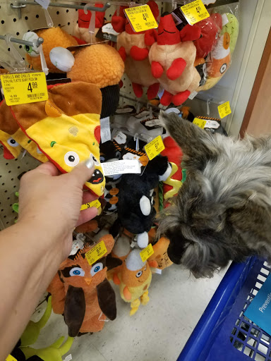 Pet Supply Store «PetSmart», reviews and photos, 6019 Wade Hampton Blvd, Taylors, SC 29687, USA