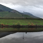 Photo n°1 de l'avis de Alexandre.i fait le 14/01/2020 à 10:04 sur le  Vila Galé Douro Vineyards à Marmelal