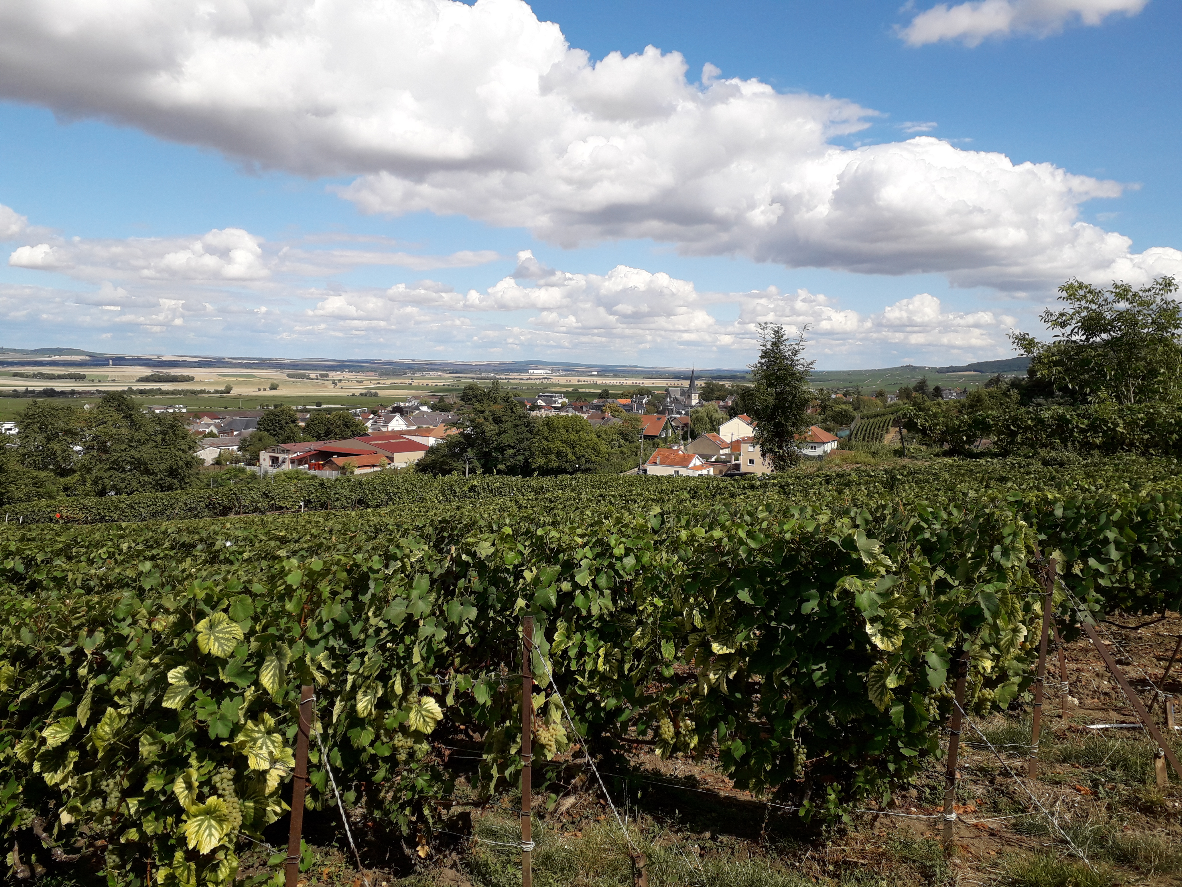 Photo n° 12 de l'avis de Cathy.r fait le 25/08/2018 à 19:04