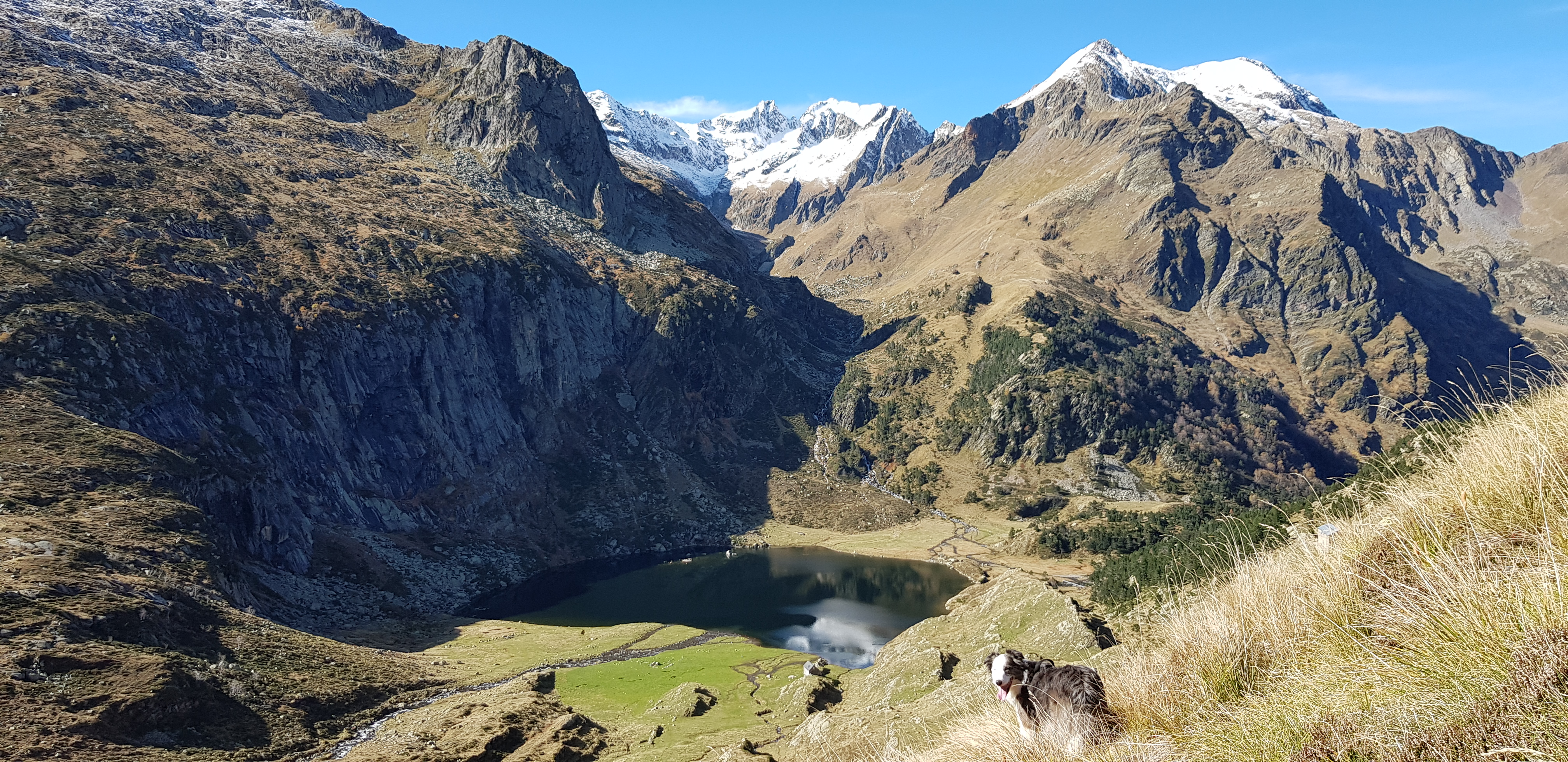 Photo n° 3 de l'avis de Brieau.r fait le 31/10/2019 à 17:09