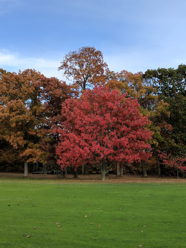 State Park «Bethpage State Park», reviews and photos, 99 Quaker Meeting House Rd, Farmingdale, NY 11735, USA