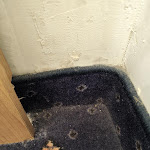 Photo n°4 de l'avis de Alice.e fait le 30/03/2023 à 22:14 sur le  White Vatican à Rome