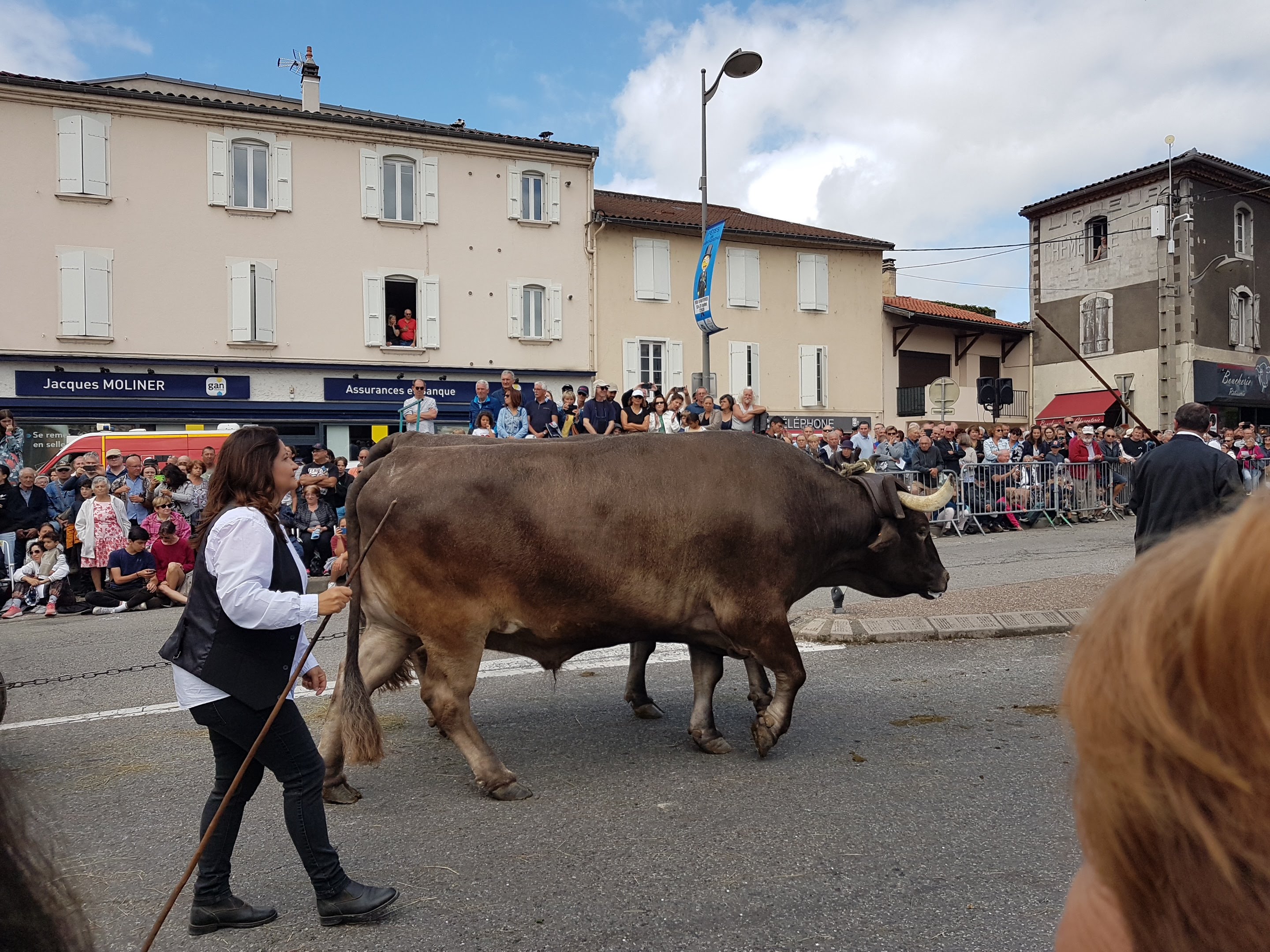 Photo n° 12 de l'avis de zoé.a fait le 07/08/2022 à 17:00