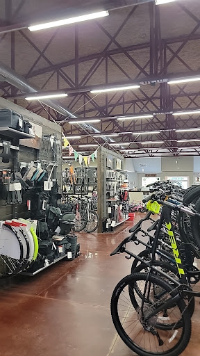 Bicycle Store «Wheels In Motion», reviews and photos, 3402 Washtenaw Ave, Ann Arbor, MI 48104, USA