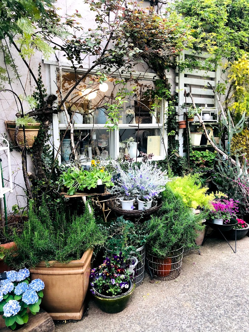 エルスール 東京都杉並区西荻南 花屋 花 グルコミ