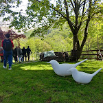 Photo n°8 de l'avis de dina.i fait le 12/05/2019 à 12:22 sur le  La Bursch à Campiglia Cervo