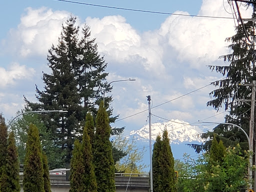 Lumber Store «Dunn Lumber - Everett», reviews and photos, 425 E Casino Rd, Everett, WA 98208, USA