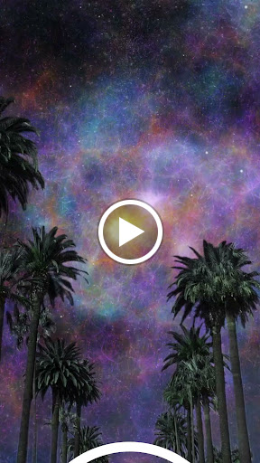 Explore lower arm half sleeve tattoo ideas, creative tattoo ideas in Colorado Springs, available at Fallen Heroes Tattoo & Piercing (Colorado)