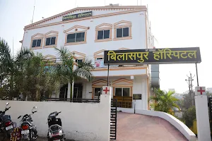 Bilaspur Hospital (Dr Dixit) image