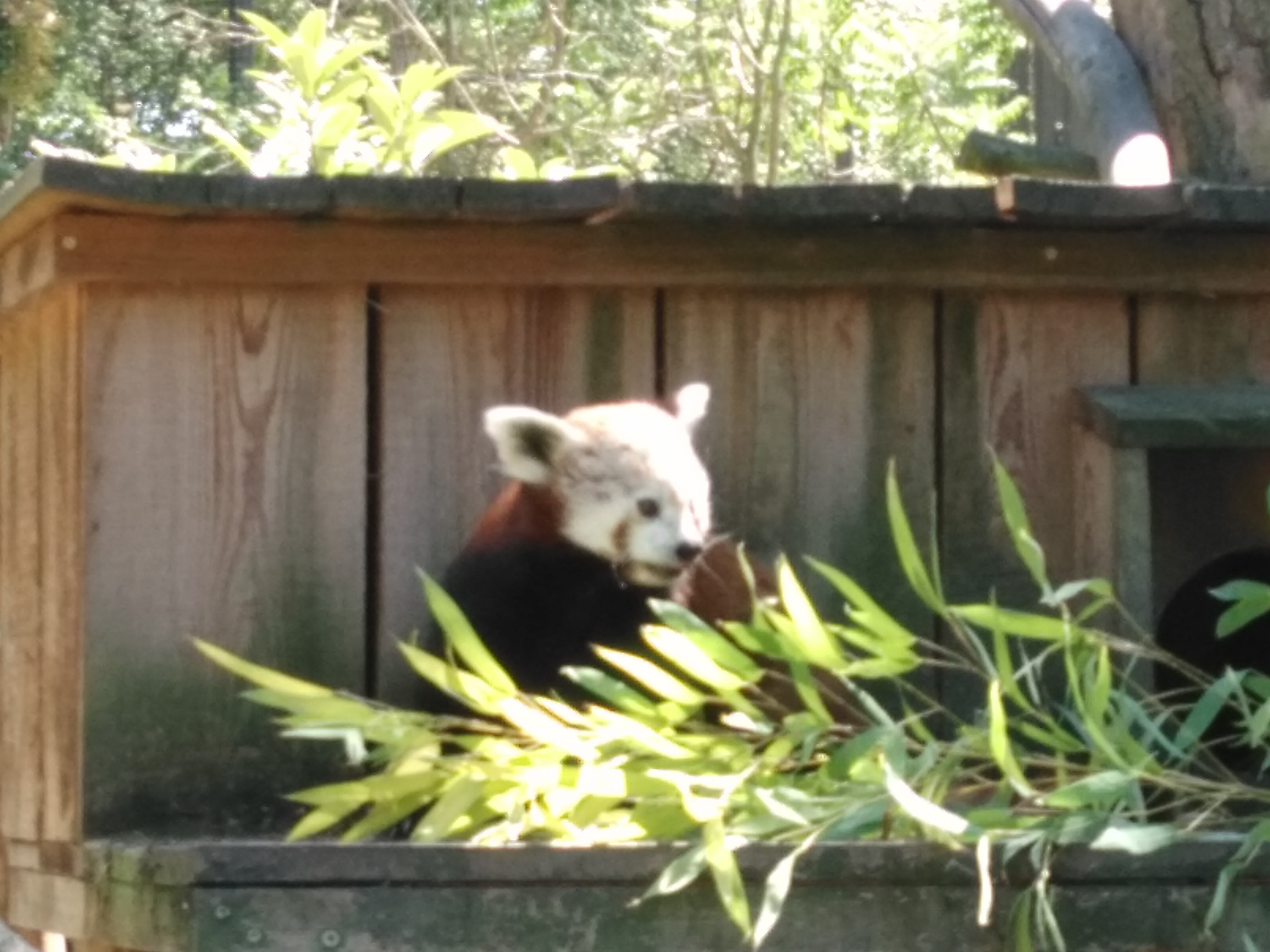 Photo n° 8 de l'avis de Alain.o fait le 26/06/2017 à 12:31