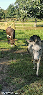 Relais Nature de Beaumont à Hénin-Beaumont