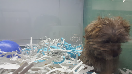 Pet Store «Pet-Go-Round», reviews and photos, 4554 VA-225, Virginia Beach, VA 23462, USA
