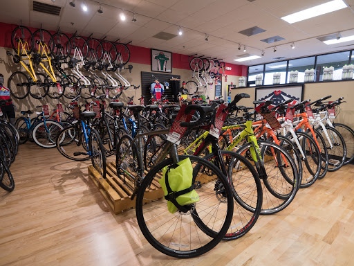 Bicycle Store «M & M Cyclery», reviews and photos, 734 Butterfield Rd, Mundelein, IL 60060, USA