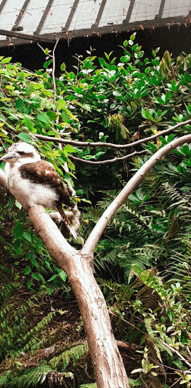 Photo n° 27 de l'avis de Ciccio.e fait le 28/07/2020 à 01:20