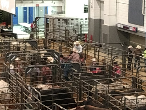 Stadium «Kellogg Arena», reviews and photos, 36 W Hamblin Ave, Battle Creek, MI 49017, USA