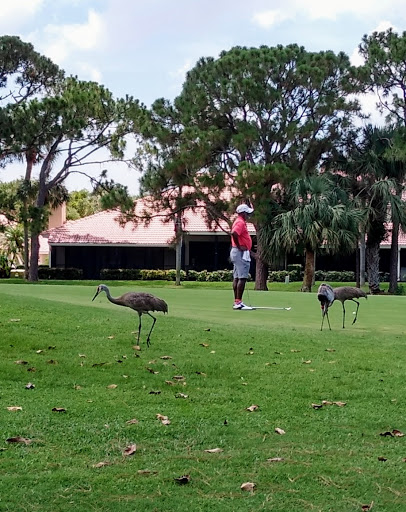 Golf Club «PGA National Golf Club», reviews and photos, 400 Ave of the Champions, Palm Beach Gardens, FL 33418, USA
