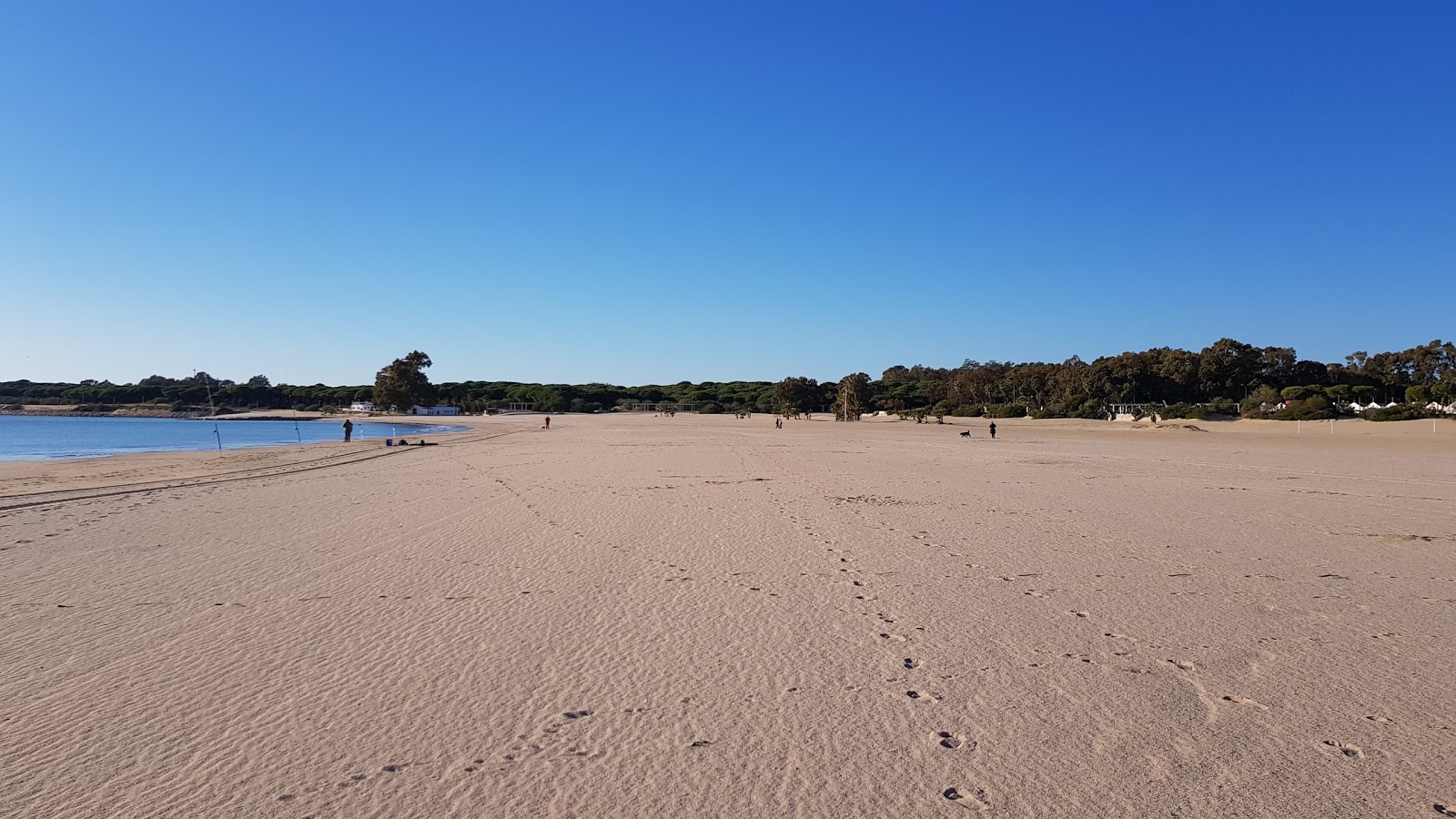 Zdjęcie Playa de la Puntilla z powierzchnią drobny beżowy piasek
