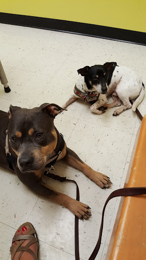 Pet Supply Store «PetSmart», reviews and photos, 8537 W Grand River Ave, Brighton, MI 48116, USA