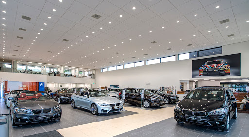 Cars NI